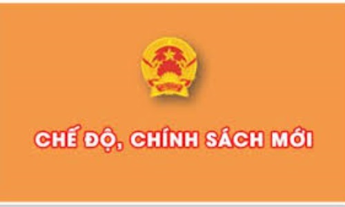 Chính sách và chế độ tinh giản biên chế